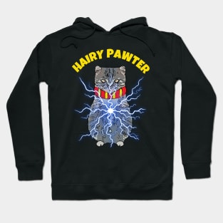 Wizard Cat Hairy Pawter Hoodie